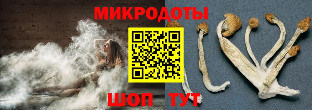 Серов  купить наркоту  Вход с VPN  Галлюциногенные грибы мицелий 